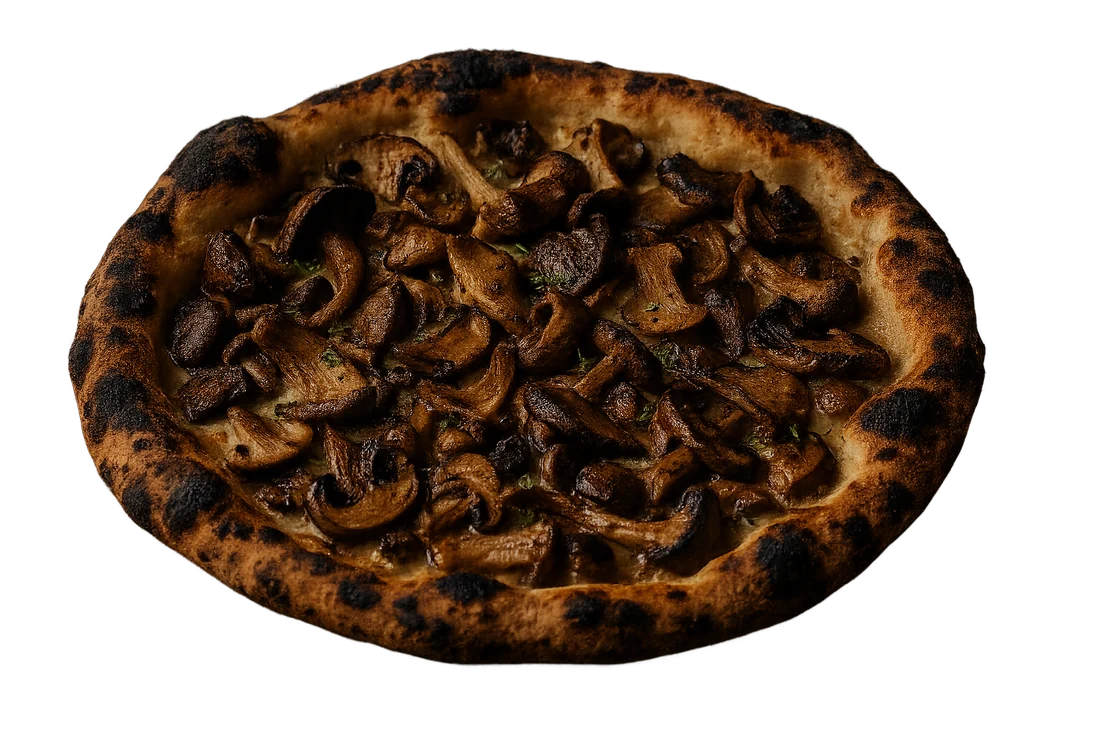 Mushroom + Fontina wood-fired pizza